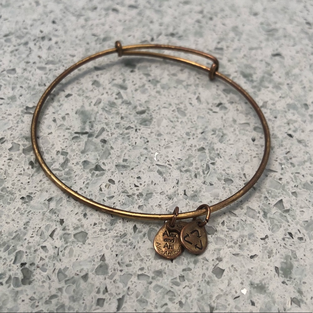 Alex and Ani Bracelet